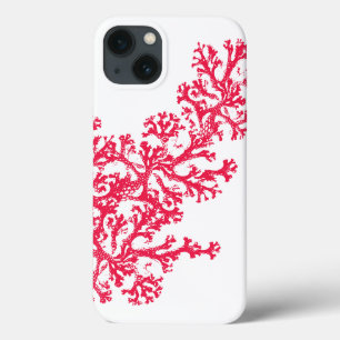 Caso-Mate Coral Motif