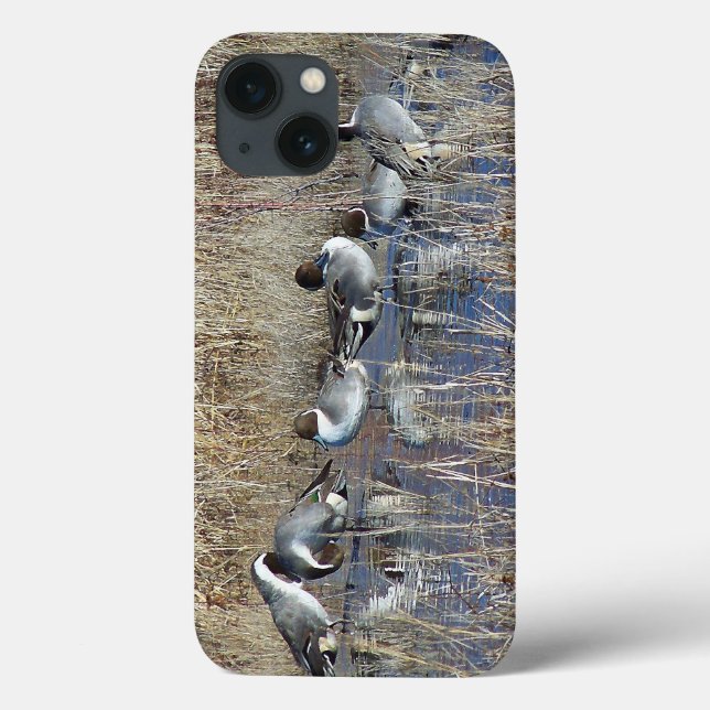 Caso Pintail Ducks iPhone 6 (Verso)