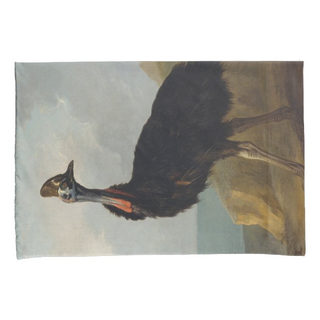 Cassowary (Ave Australiana) (Arte Animal Selvagem) (Frente-Direita)