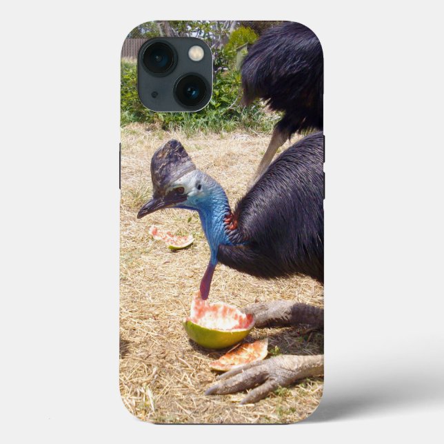 Cassowary Bird Eating Melons, iPhone 13 Case (Verso)