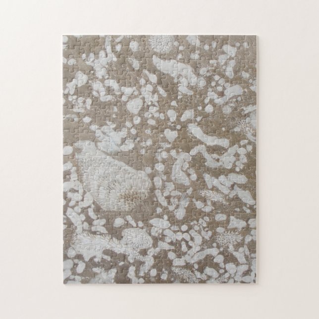 Castanho e Quebra-cabeça Brancos Fósseis Devoniano (Vertical)