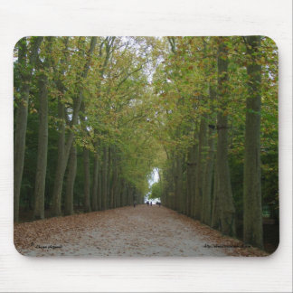 Castelo de Chenonceau Mousepad