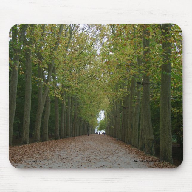 Castelo de Chenonceau Mousepad (Frente)