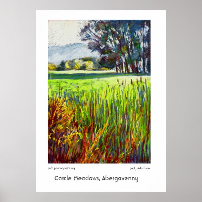 Castle Meadows, Abergavenny Impressão ou Poster (Frente)
