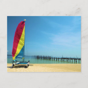 Cat by the Sea - Cartão postal à vela