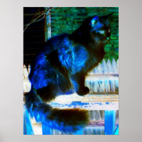 Cat em Outro Poster de Dimensão/Impressão