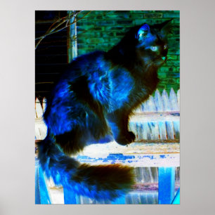 Cat em Outro Poster de Dimensão/Impressão