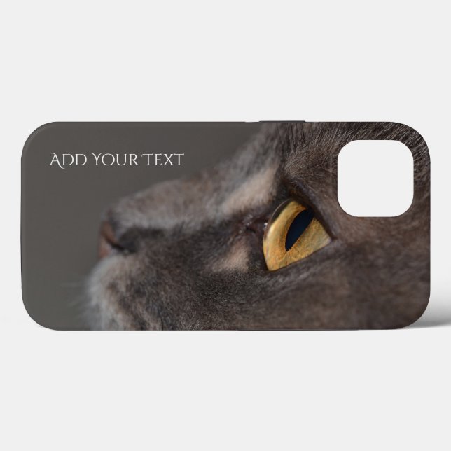 Cat Eye-Macro por Shirley Taylor (Verso (horizontal))