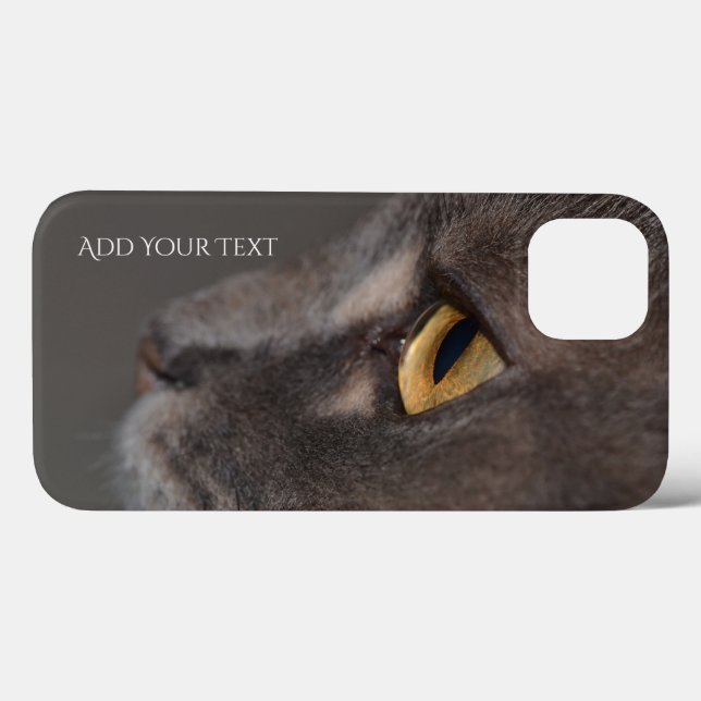 Cat Eye-Macro por Shirley Taylor (Verso (horizontal))