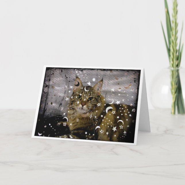 Cat Halloween ou cartão de saudação em qualquer oc (Frente)