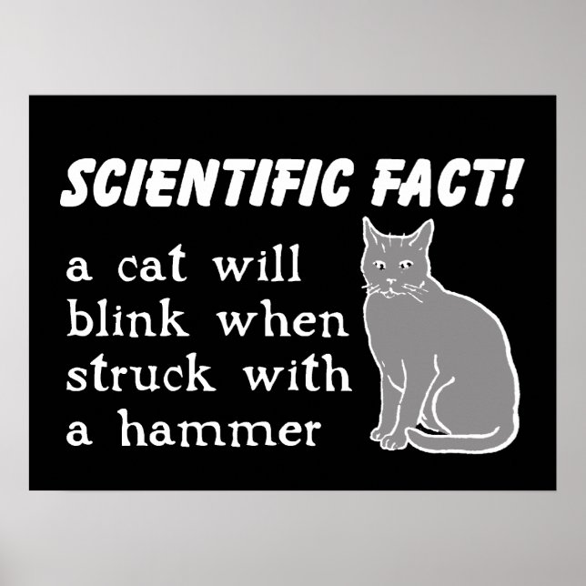 Cat Hammer Funny Impressão Humor Poster (Frente)