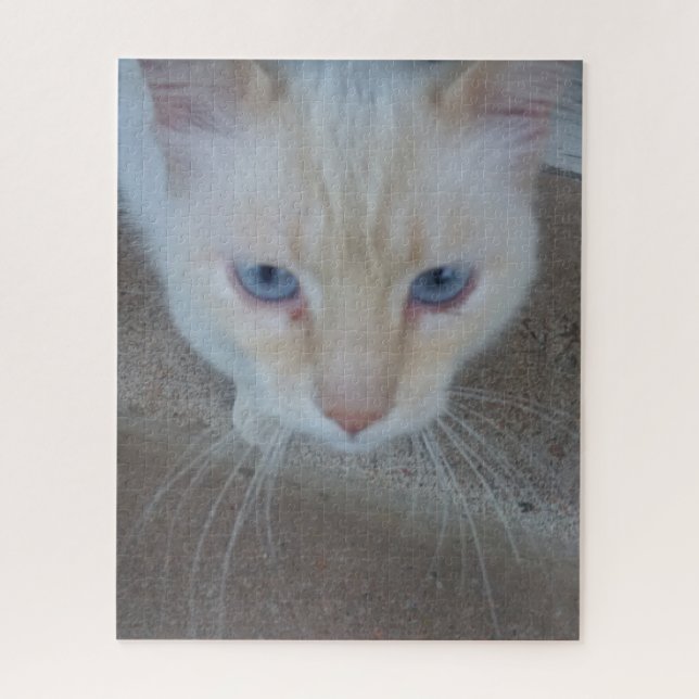 Cat Jigsera Quebra-cabeça (Vertical)