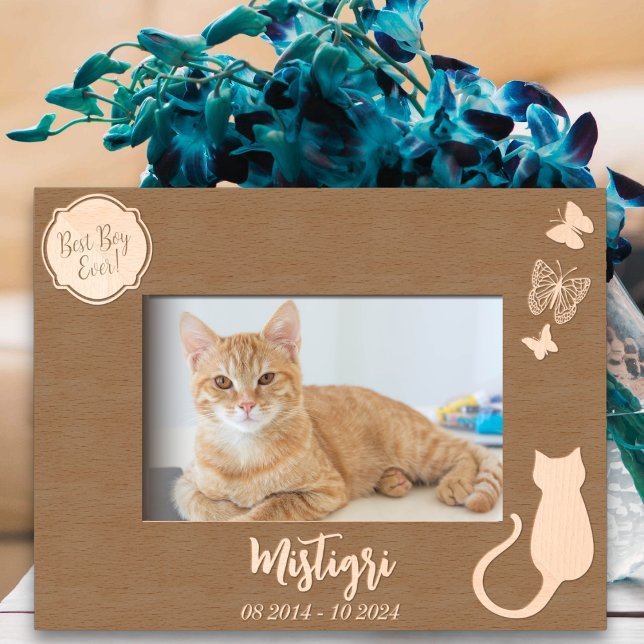 Cat Love Memorial (Criador carregado)