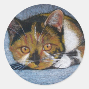 CAT NO LÁPIS DA COR: ETIQUETAS