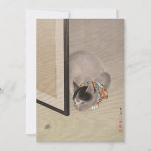 Cat Observando uma aranha   Oide Tōkō