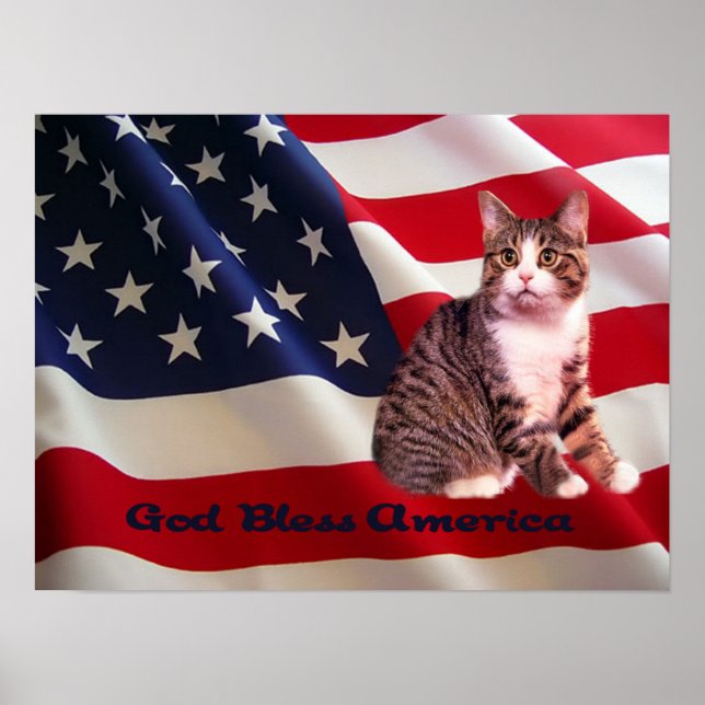 Cat Poster All American (Frente)