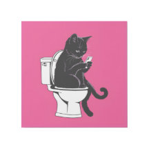 Cat Sentado em um Banheiro