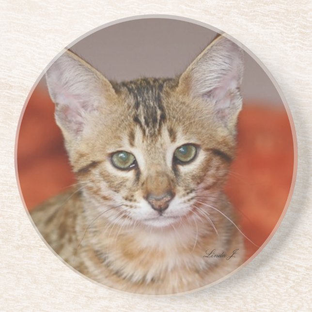 Cat Series — Serval Savannah Cat — Porta copos (Frente)