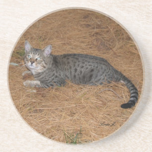 Cat Series — Serval Savannah Cat — Porta copos