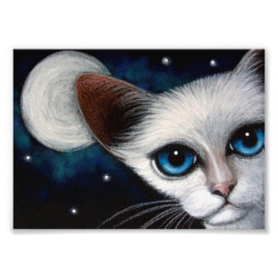 CAT SIAMESE 7" x 5", do papel da foto de Kodak