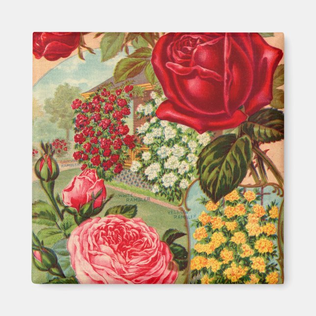 Catálogo de Sementes 12 Íman (Frente)