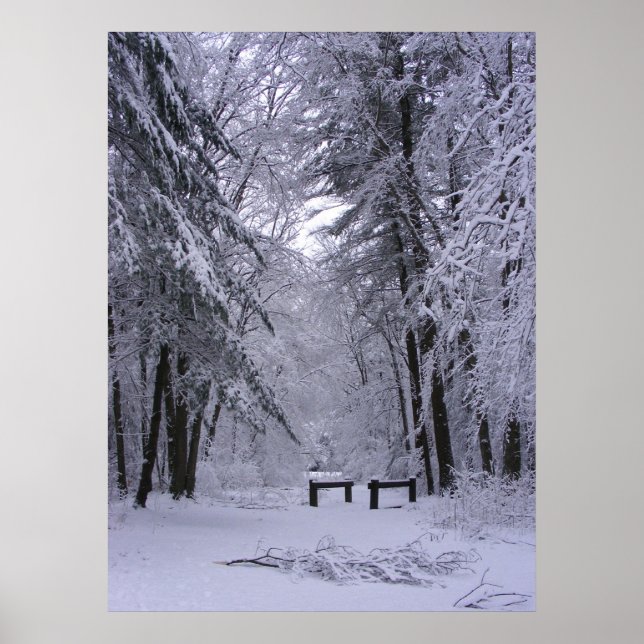 Catedral de Gelo 2 ~ impressão (Frente)