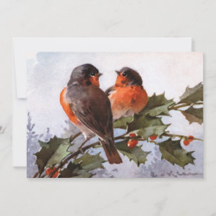 Catherine Klein: Robins sobre Holly