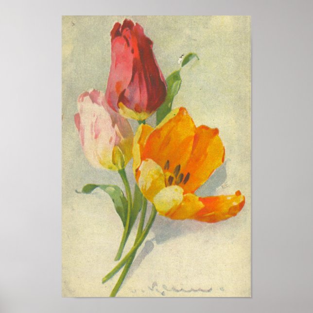 Catherine Klein Vintage Poster (Frente)