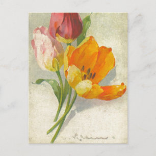 Catherine Klein Vintage - Reprodução de Cartão Pos