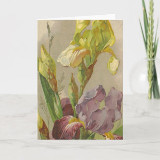 Catherine Klein Vintage - Reprodução do Cartão de 