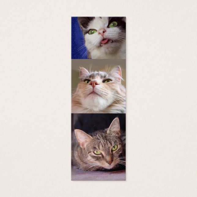 Catlovers's Bookmark (Frente)