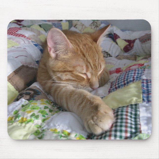 Catnap confortável Mousepad da edredão (Frente)