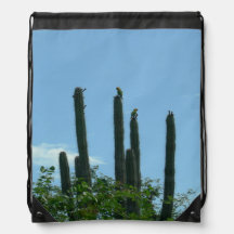 Catos com mochila de string de desenho Lorikeets