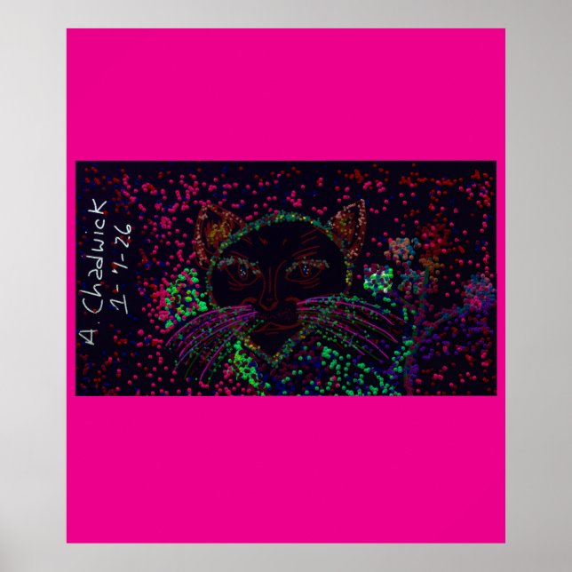 Cat's Wonderland Poster (Frente)