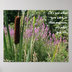 Cattail e Poster para Inspiração de Flor Selvage