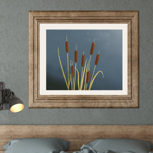 Cattails Fine Art Impressão