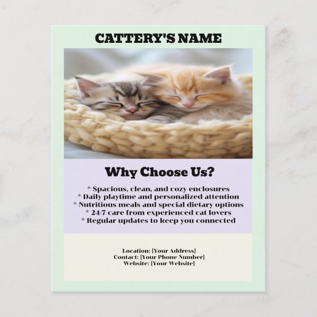 Cattery Flyer Chic e Simple (Frente)