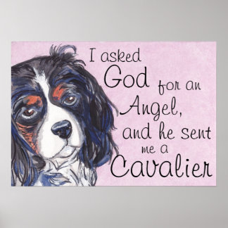 cavaleiro carles spaniel tricolor art poster