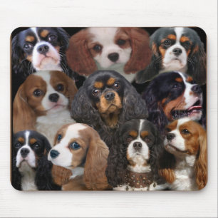 Cavaleiro Rei Charles Mousepad