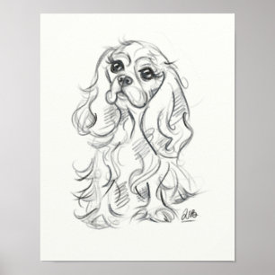 Cavalier Charles Spaniel impressão esboço