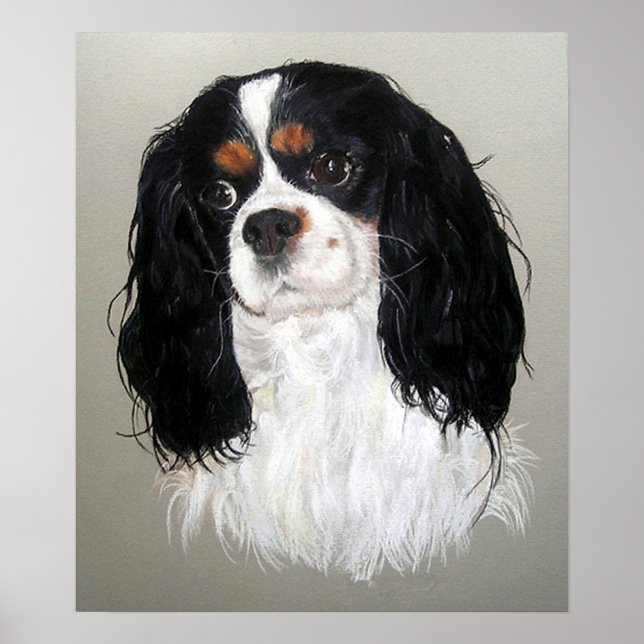 Cavalier King Charles Spaniel Poster (Frente)