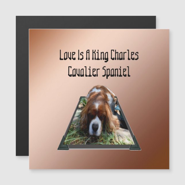 Cavalier Spaniel Popout Art, Cartão Magnético (Frente/Verso)
