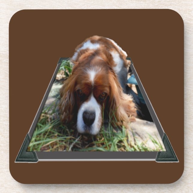 Cavalier Spaniel Popout Art, Porta copos (Frente)
