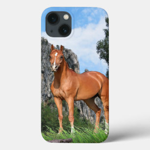 Cavalo