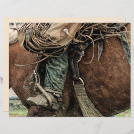 Cavalo Andando Rodeio Ocidental