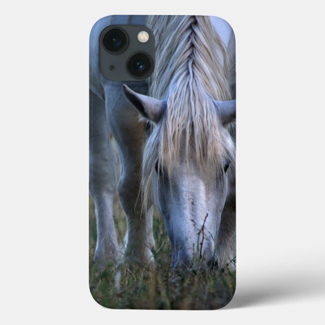 Cavalo branco (Verso)
