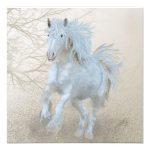 Cavalo Branco - Alargamento de Fotos