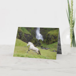 Cavalo Branco e Cartão de Saudação de Cavalo em Ca