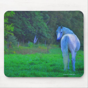 Cavalo Branco em campo na meia-noite Art Mousepad