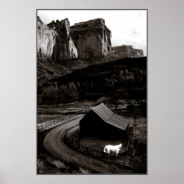 Cavalo Branco Monocromo em Canyonlands Poster